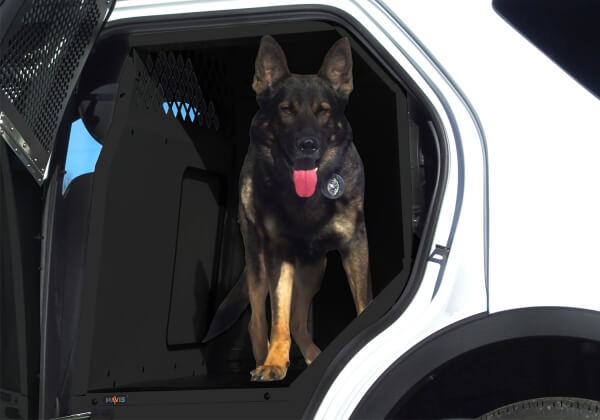 Havis K9-F18-PT-B - K9 Prisoner Transport System For 2013-2019 Ford ...